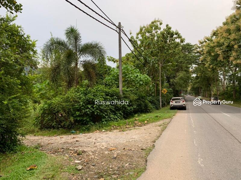 Agricultural Land for Sale in Langkawi (Kuah) - Ruswahida . - PropertyGuru.com.my