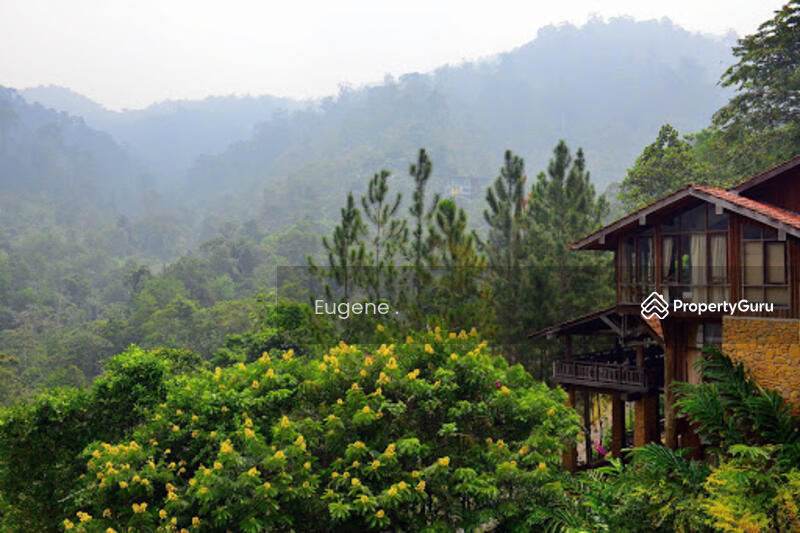 For Sale - Tanarimba