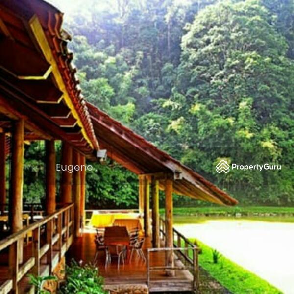 For Sale - Tanarimba