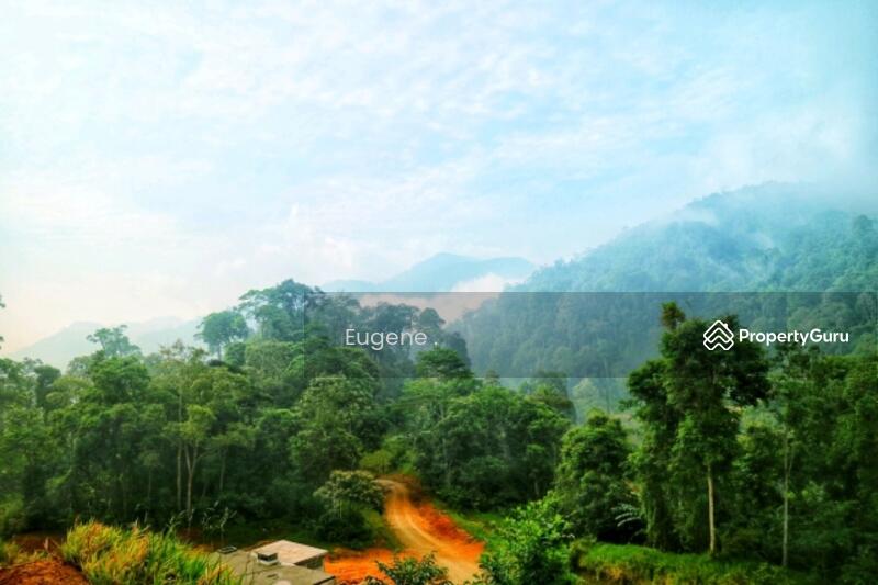 For Sale - Tanarimba