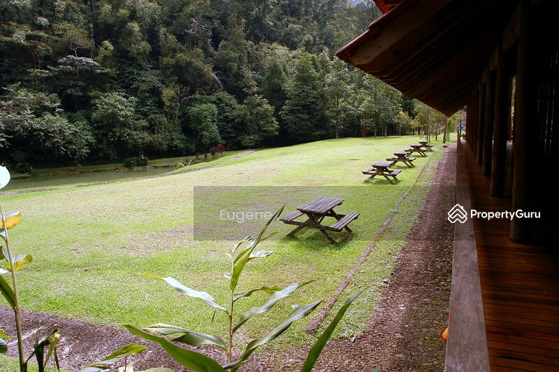 For Sale - Tanarimba