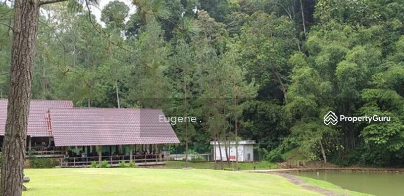 For Sale - Tanarimba