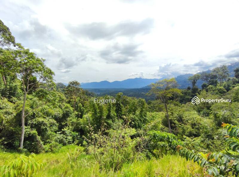 For Sale - Tanarimba