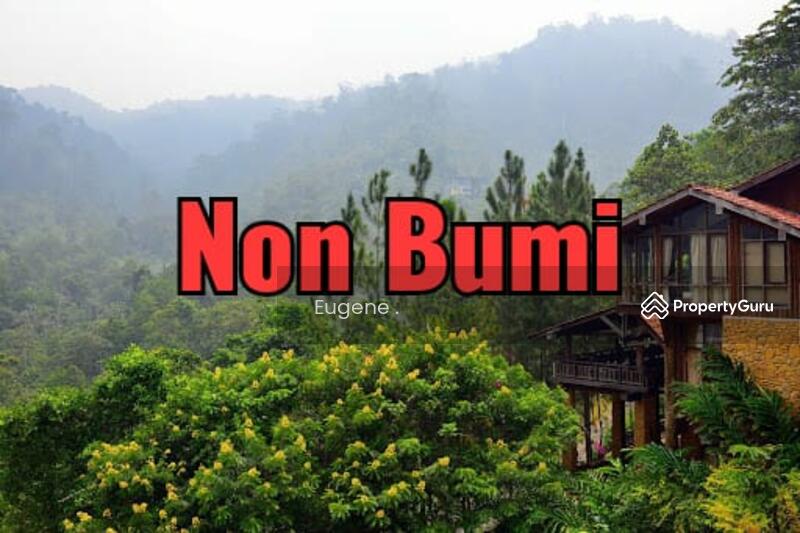 For Sale - Tanarimba