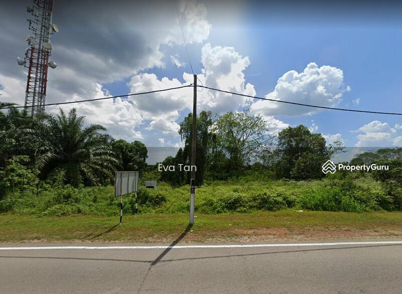 Untuk Dijual - Pekan Nanas Agriculture Land