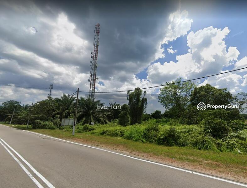 Untuk Dijual - Pekan Nanas Agriculture Land