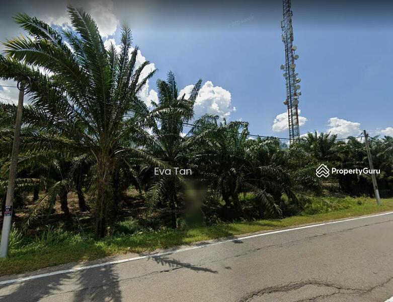 Untuk Dijual - Pekan Nanas Agriculture Land