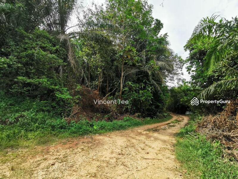 For Sale - 7.8 Acres Land Batang Berjuntai Bestari Jaya Ijok Kuala Selangor