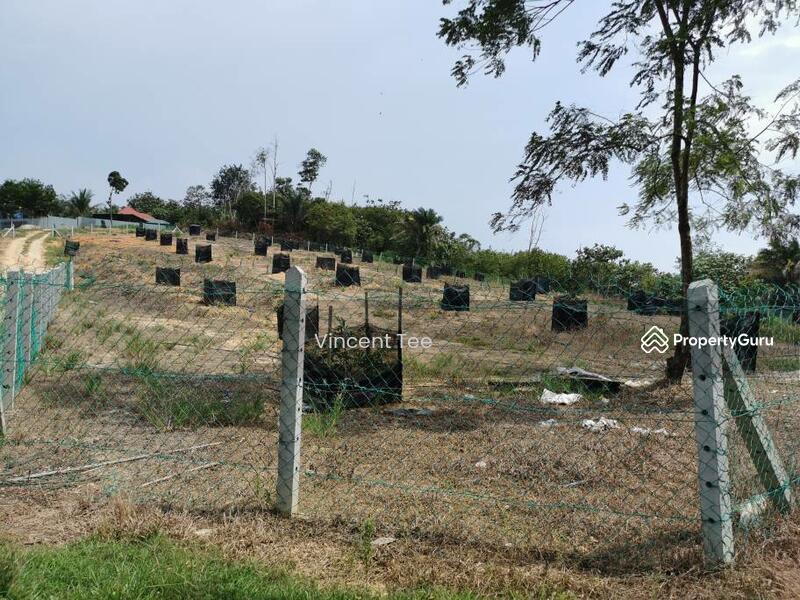 For Sale - 7.8 Acres Land Batang Berjuntai Bestari Jaya Ijok Kuala Selangor