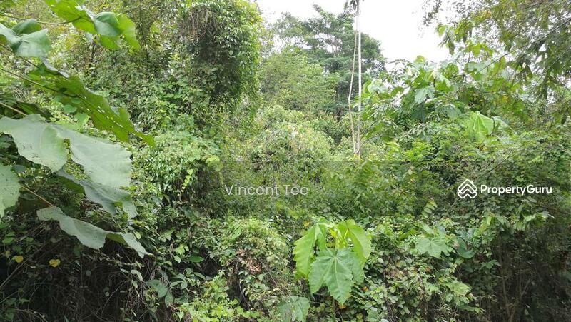 For Sale - 7.8 Acres Land Batang Berjuntai Bestari Jaya Ijok Kuala Selangor