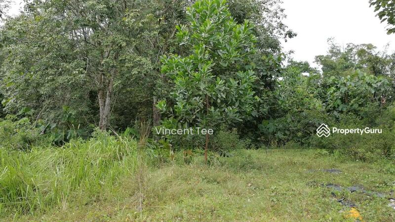 For Sale - 7.8 Acres Land Batang Berjuntai Bestari Jaya Ijok Kuala Selangor