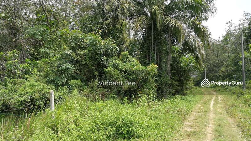 For Sale - 7.8 Acres Land Batang Berjuntai Bestari Jaya Ijok Kuala Selangor