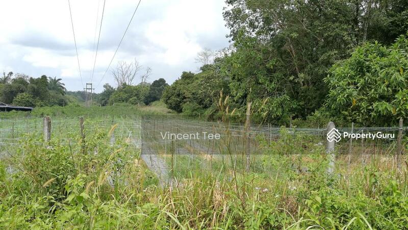 For Sale - 7.8 Acres Land Batang Berjuntai Bestari Jaya Ijok Kuala Selangor