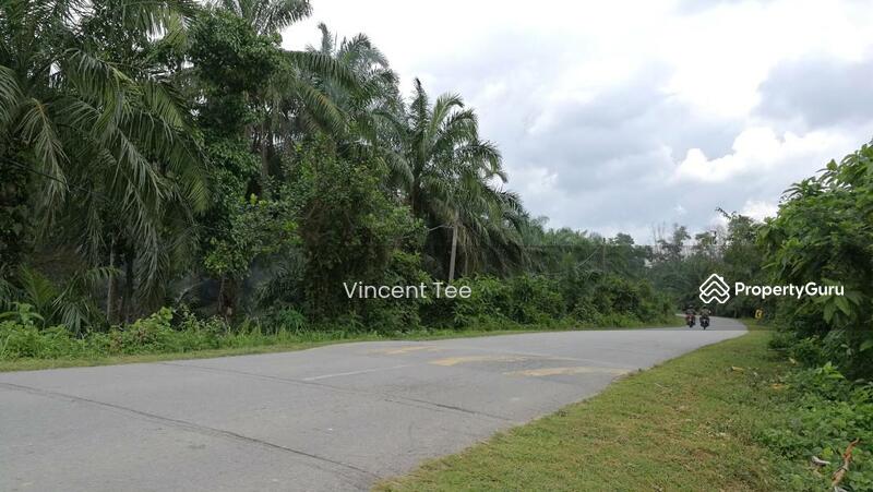 For Sale - 7.8 Acres Land Batang Berjuntai Bestari Jaya Ijok Kuala Selangor