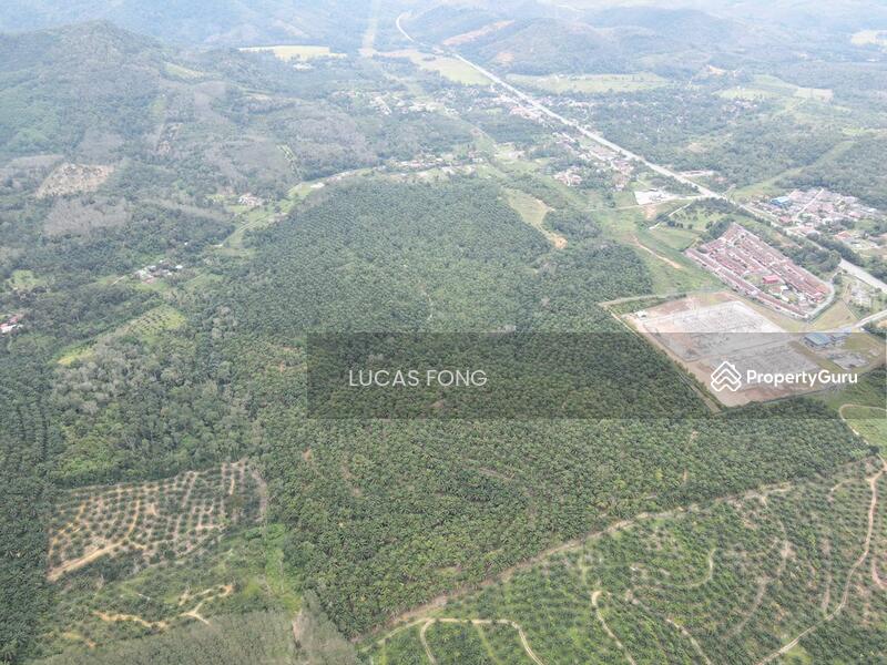 75acres Kuala Kangsar Oil Palm Agriculture For Sale, 出售江沙75英亩棕油农业地