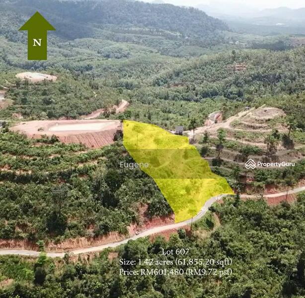 Agricultural Land for Sale in Bentong (Pahang) - Eugene Yap - PropertyGuru.com.my