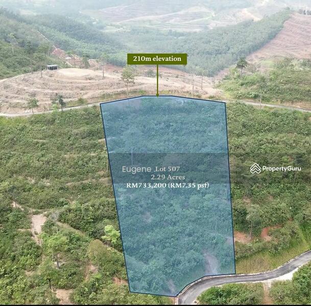 Agricultural Land for Sale in Bentong (Pahang) - Eugene Yap - PropertyGuru.com.my
