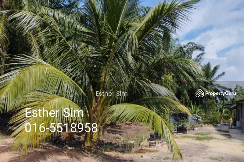 Agriculture land at Kulim, Kulim, Kedah, , , Agricultural Land For Sale