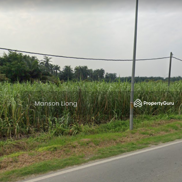 For Sale - Agriculture land at Kuala Langat