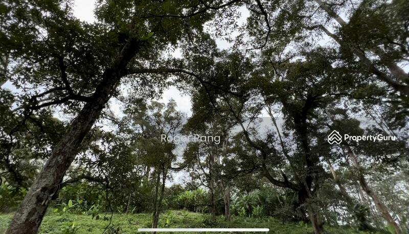 Agricultural Land for Sale in Taman Jelebu (Kuala Klawang) - Roger Pang - PropertyGuru.com.my