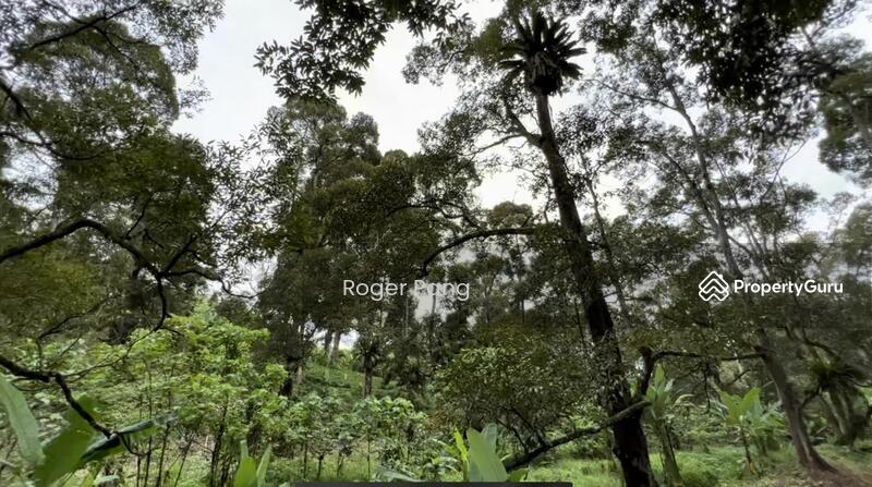 Agricultural Land for Sale in Taman Jelebu (Kuala Klawang) - Roger Pang - PropertyGuru.com.my