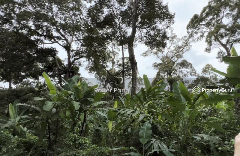 Agricultural Land for Sale in Taman Jelebu (Kuala Klawang) - Roger Pang - PropertyGuru.com.my