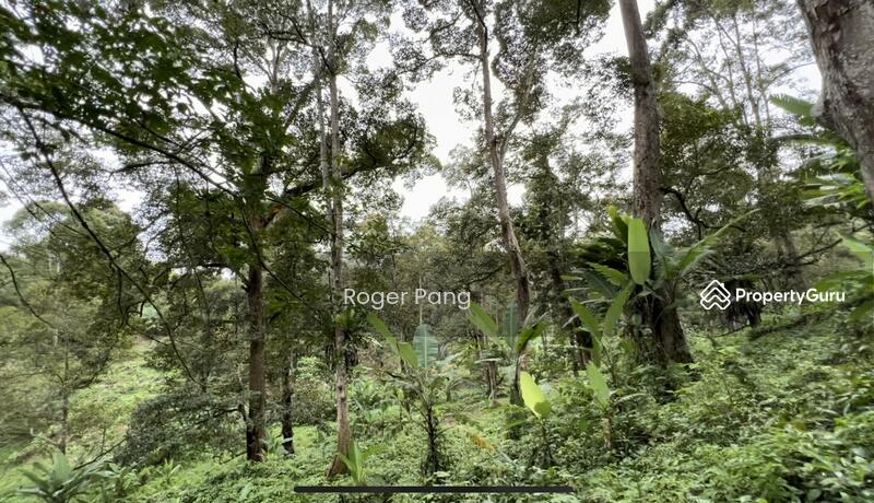 Agricultural Land for Sale in Taman Jelebu (Kuala Klawang) - Roger Pang - PropertyGuru.com.my