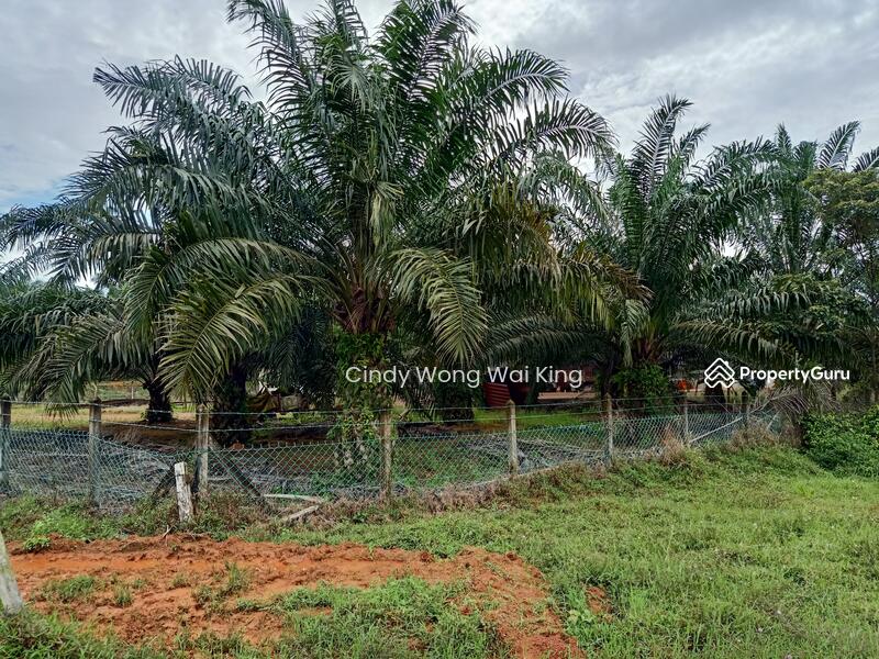 FOR SALEOIL PALM PLANTATION541acresPasir Panjang, Port Dickson