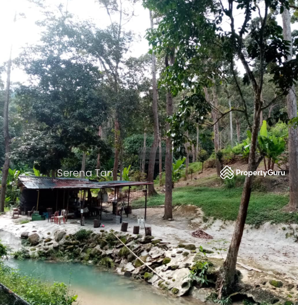 Agriculture land at Sungai Ara, BUKIT RELAU, Sungai Ara, Bayan Lepas