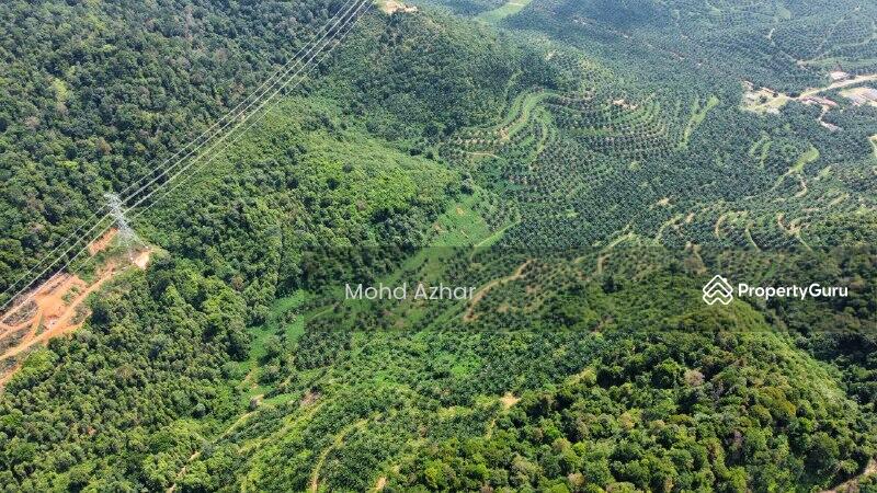 Agriculture Land Mukim Johol Kuala Pilah Negeri Sembilan, Johol, Kuala