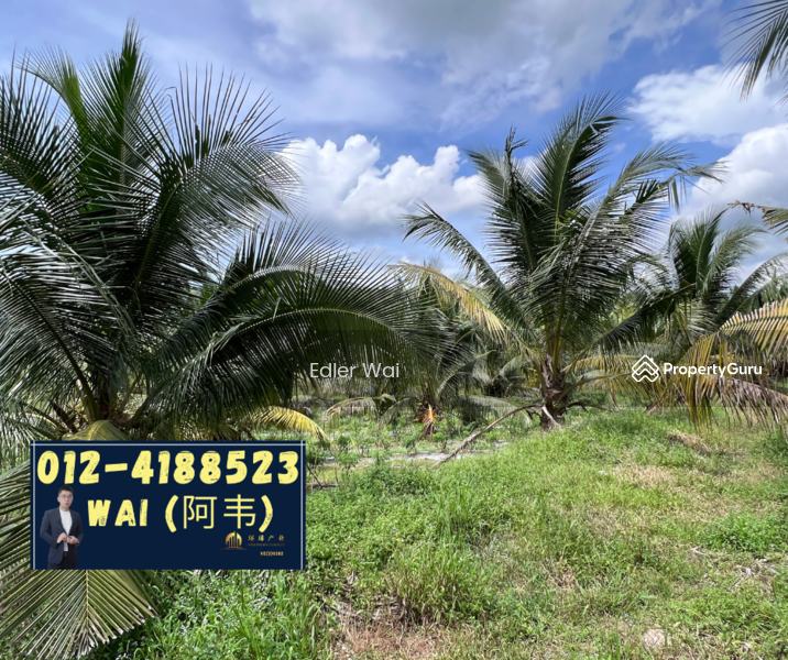 Agriculture land at Linggi, kampung tampin kiri, Port Dickson, Negeri