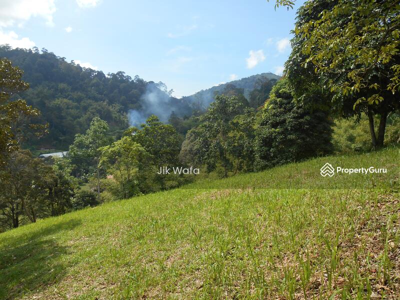 Janda Baik, Bentong, Pahang, , , Agricultural Land For Sale, by Jik
