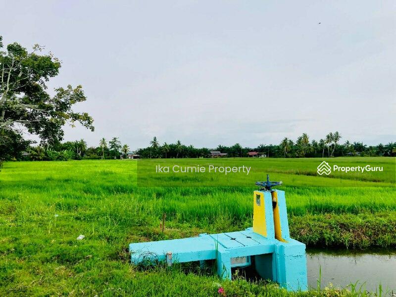 Sungai Chenaam Nibong Tebal, Nibong Tebal, Seberang Perai Selatan