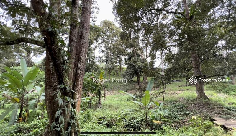 Agricultural Land for Sale in Taman Jelebu (Kuala Klawang) - Roger Pang - PropertyGuru.com.my