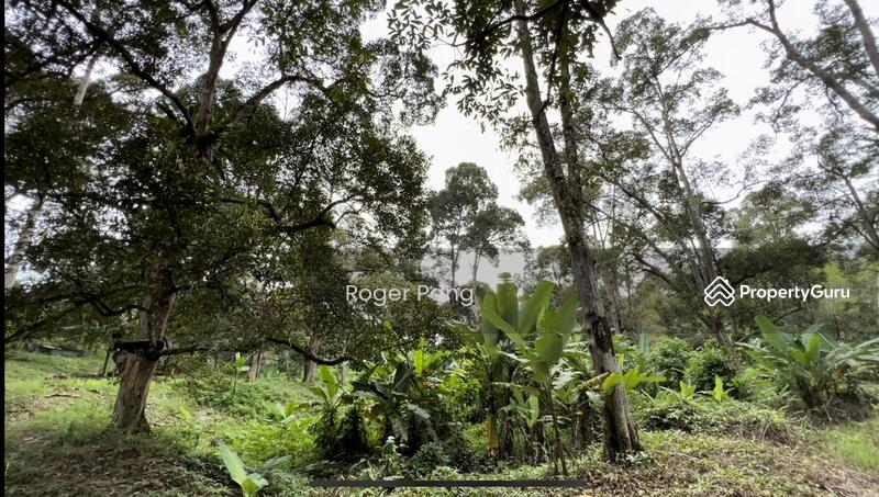 Agricultural Land for Sale in Taman Jelebu (Kuala Klawang) - Roger Pang - PropertyGuru.com.my