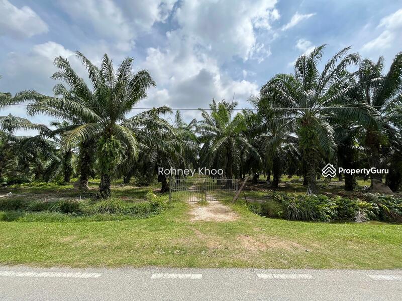 Simpang Ampat Land, Jalan Simpang Ampat, Simpang Ampat, Seberang Perai
