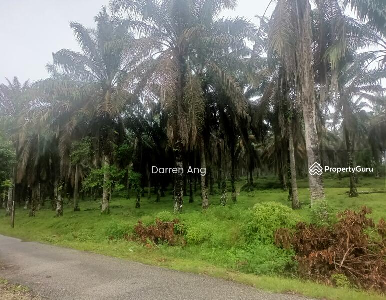 Agricultural Land For Sale in Malaysia PropertyGuru Malaysia