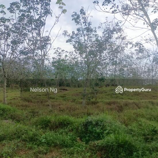 Pasir Panjang Kampung Tanjung Agas Port Dickson, Jalan Pasir Panjang