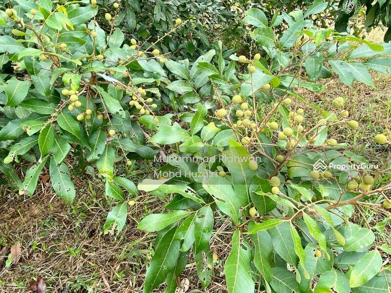 Residential Land for Sale in Seremban (Negeri Sembilan) - Muhammad Ridhwan Mohd Huzairi - PropertyGuru.com.my