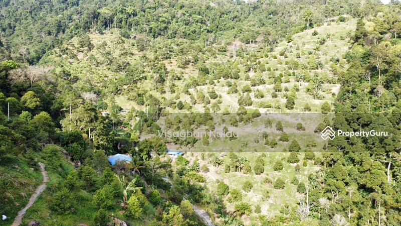 For Sale - Balik Pulau