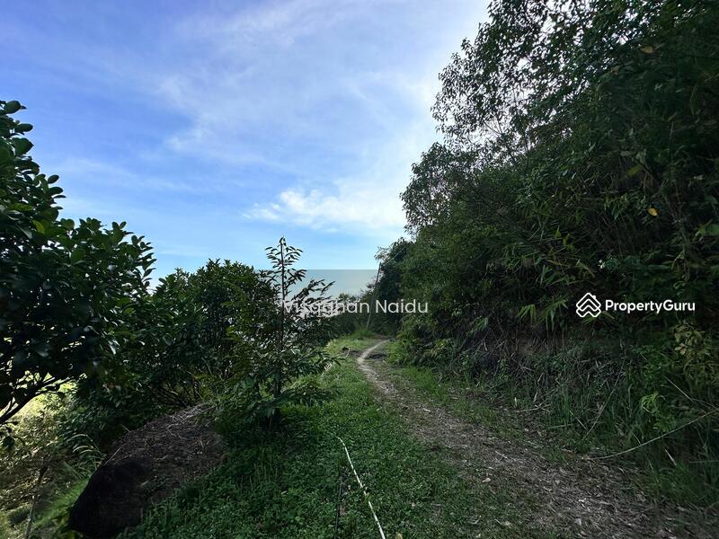 For Sale - Balik Pulau