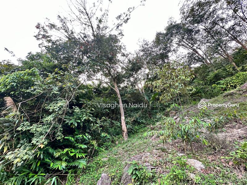 For Sale - Balik Pulau