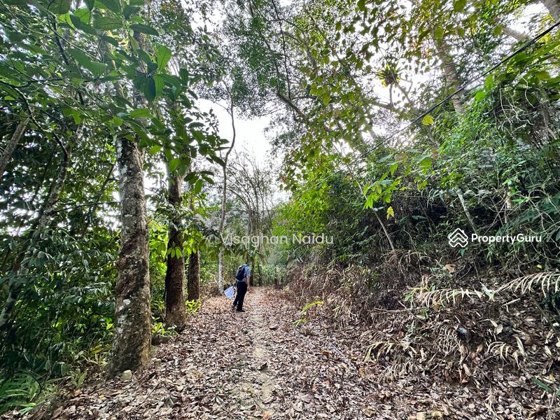 For Sale - Balik Pulau
