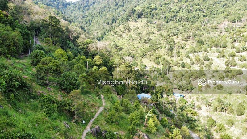 For Sale - Balik Pulau