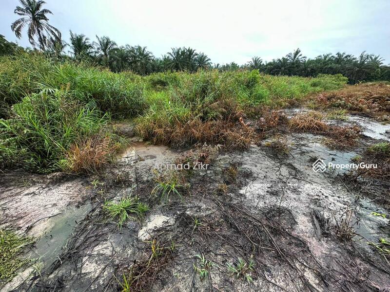Untuk Dijual - Tanah ekar beserta banglo dijual