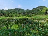 For Sale - Rantau