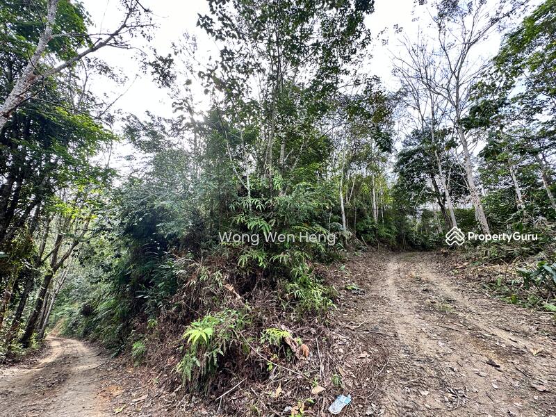 Tanah Pertanian untuk Dijual di Taman Benus Jaya (Bentong) - Wong Wen Heng - PropertyGuru.com.my