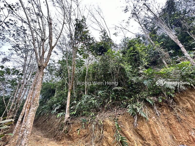 Tanah Pertanian untuk Dijual di Taman Benus Jaya (Bentong) - Wong Wen Heng - PropertyGuru.com.my