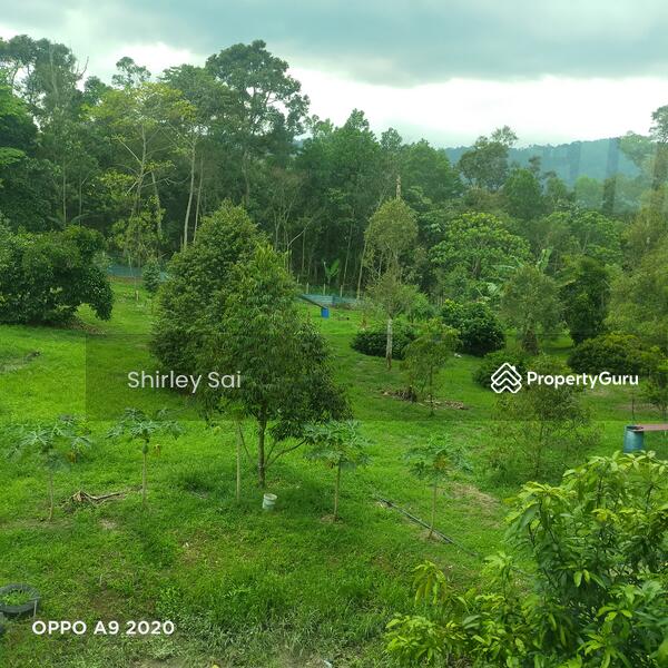 Mantin, Mantin, Negeri Sembilan, , , A SALE, by Shirley Sai, 36980929