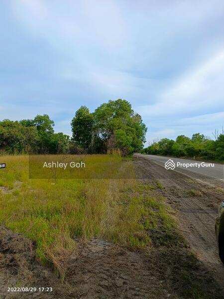 Agricultural Land for Sale in Bandar Pekan (Pekan) - Ashley Goh - PropertyGuru.com.my